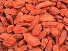 Qaidam (Tibetan Goji /Himalayan Goji) Goji Berry (image for) Qaidam (Tibetan Goji /Himalayan Goji) Goji Berry